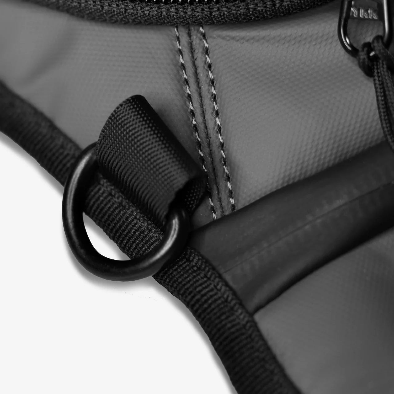 CARBONADO TURTLE (Black) - Always Riding